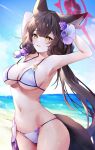  1girl absurdres animal_ears armpits arms_behind_head arms_up beach bikini blue_archive breasts brown_eyes brown_hair cleavage cloud flower fox_ears fox_girl fox_tail groin hair_flower hair_ornament halo highres ki_1315 long_hair navel ocean ponytail sky smile solo swimsuit tail thighs very_long_hair wakamo_(blue_archive) white_bikini 