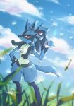  black_fur blue_fur blue_sky cloud dandelion_seed day evolutionary_line grass hakata_no_kuma highres lucario multicolored_fur open_mouth outdoors pokemon pokemon_(creature) red_eyes riolu sky spikes yellow_fur 