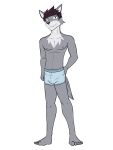  alternate_species anthro boxer_briefs bulge canid canine canis clothed clothing full-length_portrait furrification fuze hi_res male mammal navel nipples portrait sebastian_(stardew_valley) simple_background solo stardew_valley topless underwear underwear_only white_background wolf 