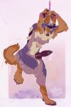 anthro bdsm bodily_fluids bolero_(character) bondage bound canid canine canis coyote erection eyes_closed felilune fur genital_fluids genitals hi_res kinksiyo knot knotted_penis male mammal nude nude_anthro penis precum purple_body purple_fur restraints rope rope_bondage secretly_loves_it solo struggling sweat tail tail_motion tailwag