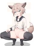  1girl :p absurdres ahoge animal_ears arknights bar_censor blue_eyes blush buttons censored fox_ears fox_girl fox_tail full_body hair_between_eyes highres long_sleeves navel no_shoes pussy shadow shin_maboroshi shirt short_hair simple_background solo squatting sussurro_(arknights) tail tongue tongue_out white_background white_shirt 