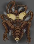 4_arms animal_genitalia anthro arthropod big_breasts blattodean bodily_fluids breasts capcom claws cloaca cockroach elangelote exoskeleton female gaping gaping_cloaca genital_fluids genitals hi_res insect looking_at_viewer multi_arm multi_limb no_hands ocellis reaper_(resident_evil) resident_evil segmented_arms segmented_body segmented_tail solo spikes thick_thighs toe_claws vaginal_fluids