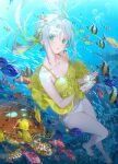  1girl air_bubble aqua_eyes bare_legs barefoot blush bubble camisole clownfish commentary_request dsmile fish floating_hair freediving hair_ribbon jellyfish looking_at_viewer moorish_idol original panties parted_lips regal_blue_tang revision ribbon solo surgeonfish swimming turtle underwater underwear white_hair white_panties yellow_camisole yellow_ribbon yellow_tang 