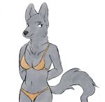  2022 anthro arrived_le black_eyes black_nose bra canid canine canis clothing female fur grey_body grey_fur hi_res mammal navel simple_background smile solo standing underwear white_background wolf 