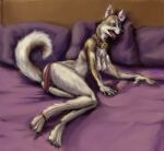  2009 anthro barefoot bed biped blue_eyes breasts brown_collar canid canine canis collar domestic_dog feet female furniture glyph_(artist) husky mammal nipples nordic_sled_dog open_mouth pillow solo spitz 