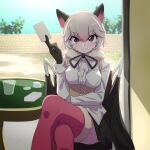  1girl animal_ears bat_ears bat_girl bat_wings blue_sky brown_eyes card egyptian_rousette_(kemono_friends) extra_ears glass gloves grey_hair highres jacket kemono_friends looking_at_viewer lowlandgorilla neck_ribbon ribbon short_hair skirt sky solo table thighhighs wings 