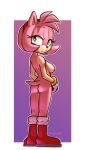  abstract_background amy_rose anthro boots boots_only breasts clothing eulipotyphlan female footwear footwear_only genitals gloves gloves_only handwear handwear_only hedgehog hi_res humanoid mammal mostly_nude pussy rogone2 sega signature solo sonic_the_hedgehog_(series) 
