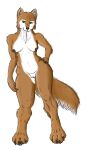  anthro black_nipples breasts brown_body brown_fur canid canine canis claws curvy_figure digitigrade female fur genitals green_eyes hand_on_hip hi_res hourglass_figure looking_at_viewer mammal neck_tuft nipples nude pussy snout solo standing tuft white_body white_fur wide_hips wolf ydrials 