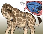 abdominal_bulge belly big_belly bodily_fluids caeruleus_(alfa90) dragon duo feral feral_pred feral_prey giraffe giraffid hgythshs hi_res inside_stomach internal licking licking_lips licking_own_lips looking_at_own_belly male mammal mythological_creature mythological_scalie mythology oral_vore organs rumbling_stomach scalie size_difference stomach tongue tongue_out vore wet