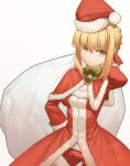  1girl absurdres bell blonde_hair blush braid breasts brooch capelet christmas cleavage dress fate/grand_order fate_(series) green_eyes hair_ribbon hat highres jewelry large_breasts nero_claudius_(fate) red_capelet red_dress ribbon santa_costume santa_hat shiki_zzy smile solo 