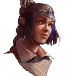  1girl baldur&#039;s_gate baldur&#039;s_gate_3 black_hair braid diadem dungeons_&amp;_dragons elf hair_ornament herr_lorenz long_braid long_hair pointy_ears scar scar_on_face scar_on_nose shadowheart_(baldur&#039;s_gate) solo 