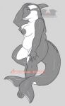 akai anthro breasts cetacean chubbie dolphin furry mammal marine nipples nsfw nude oceanic_dolphin orca overweight slightly_chubby temrin thick_thighs toothed_whale vancoufur vf2024