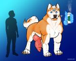 akita animal_genitalia animal_penis balls canid canine canine_genitalia canine_penis canis claws domestic_dog ear_piercing feral fur gem genitals hi_res knot magic magic_user male mammal narram pawpads penis piercing solo spitz tail vein veiny_knot veiny_penis