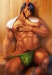  anthro banni_art equid equine green_eyes hi_res looking_at_viewer male mammal muscular muscular_anthro muscular_male nipples solo tida towel towel_around_neck 