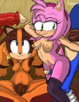  amy_rose anthro armpit_hair badger big_pubes bite biting_lip blush body_hair breasts clothing disembodied_penis echidna edit eulipotyphlan faceless_character faceless_male female frown genitals group hairy hairy_pussy hedgehog hi_res kinkybird knuckles_the_echidna legwear male male/female mammal monotreme mustelid musteline nude penis pubes pussy sega sex sketch small_breasts sonic_boom sonic_the_hedgehog sonic_the_hedgehog_(series) sticks_the_jungle_badger thigh_highs thigh_sex 