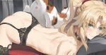 1girl anus ass black_choker black_garter_belt black_thighhighs blonde_hair cat choker commentary_request fate/apocrypha fate_(series) from_side garter_belt green_eyes hair_ornament hair_scrunchie high_ponytail highres lace-trimmed_thighhighs lace_trim light_blush looking_at_viewer lying medium_hair mordred_(fate) nude on_stomach out-of-frame_censoring paid_reward_available ponytail red_scrunchie scrunchie smile solo thighhighs tonee 
