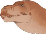  ambiguous_gender closed_mouth dinosaur facial_spots feral glistening glistening_eyes hi_res imperatorcaesar mouth_closed orange_body reptile scalie simple_background solo spotted_face tan_body white_background 