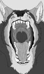  absurd_res anthro bodily_fluids cheek_tuft chest_tuft dipstick_ears facial_tuft fangs greyscale hi_res imperatorcaesar inner_ear_fluff looking_at_viewer male monochrome mouth_shot multicolored_ears open_mouth saliva saliva_on_tongue saliva_string shoulder_tuft simple_background solo tuft 