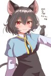  1girl :3 absurdres animal_ears blue_capelet capelet commentary_request dated dress grey_hair highres jewelry looking_at_viewer mouse_(animal) mouse_ears mouse_tail nazrin pendant red_eyes short_hair simple_background tail touhou white_background yanagi_(isiryu230) 