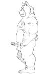  2022 anthro balls canid canine canis domestic_dog erection genitals hi_res humanoid_genitalia humanoid_hands humanoid_penis kemono male mammal overweight overweight_male penis simple_background sketch solo ujishiyo 