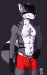  anthro biped boxer_briefs bulge canid canine clothed clothing detailed_bulge eyewear fox genital_outline glasses grott hi_res male mammal mostly_nude muscular muscular_male partially_clothed solo solo_focus trashyp4nda underwear 