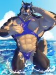  abs anthro brown_body brown_fur bulge canid canine canis clothing crystal domestic_dog eyewear fur hi_res jewelry lifewonders live-a-hero male mammal muscular muscular_anthro muscular_male necklace nipples partially_submerged_legs pecs pubraseer salz_sop shirt solo speedo sunglasses swimwear tank_top topwear video_games water 