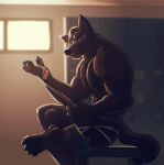  anthro canid canine canis domestic_dog dutch_shepherd herding_dog hi_res locker_room looking_at_viewer male mammal muscular muscular_anthro muscular_male nipples paintfox pastoral_dog pawpads pecs sheepdog sitting solo tape 