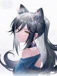  1girl animal_ear_fluff animal_ears arknights artist_name bare_shoulders black_collar blue_shirt cat_ears collar earrings extra_ears grey_hair hair_between_eyes inuko_(redconstellation) jewelry long_hair looking_at_viewer off-shoulder_shirt off_shoulder ponytail portrait schwarz_(arknights) shirt simple_background solo white_background yellow_eyes 