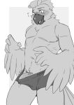  anthro avian bird blush bodily_fluids erection hi_res kyrosh male monochrome parrot solo standing stretched_clothing surprise sweat 