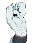 2024 abs anthro armpit_tuft barazoku big_muscles brand_new_animal bulge canid canine canis clothed clothing collar eyebrows frown fur hands_behind_head hi_res jrjresq male mammal muscular muscular_anthro muscular_male navel pecs serratus shirou_ogami simple_background solo standing stretching studio_trigger topless topless_anthro topless_male tuft underwear underwear_only white_background wolf