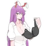  animal_ears black_bra blush bra breasts buttons cleavage collared_shirt hair_between_eyes highres holding holding_bra holding_clothes holding_underwear large_breasts long_hair looking_at_viewer mata_(matasoup) open_mouth puffy_sleeves purple_hair rabbit_ears rabbit_girl red_eyes reisen_udongein_inaba removing_bra removing_bra_under_shirt shirt thick_eyebrows touhou underwear very_long_hair white_background white_shirt 