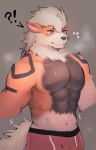  abs anthro arcanine blue_sclera blush bodily_fluids bulge exclamation_point fluffy fur fur_growth growth hi_res human human_to_anthro male mammal muscular navel nintendo pok&eacute;mon pok&eacute;mon_(species) question_mark sa_no solo species_transformation sweat sweatdrop transformation video_games 