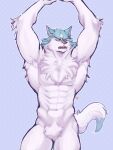  abs anthro big_muscles blue_body blue_eyes blue_fur brand_new_animal canid canine canis chest_tuft crotch_tuft dipstick_tail featureless_crotch fur hi_res kinaruoopsy male mammal markings multicolored_body multicolored_fur muscular muscular_male navel pose shirou_ogami simple_background solo studio_trigger tail_markings tuft two_tone_body two_tone_fur white_body white_fur wolf 