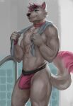  anthro blue_eyes bulge canid canine clothing collar fox hi_res jockstrap juiceps male mammal nipples pink_clothing solo towel_on_shoulder underwear 