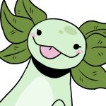  absurd_res amphibian axolotl blep blush bust_portrait female front_view green_body hi_res imperatorcaesar mole_salamander portrait salamander_(amphibian) simple_background simple_eyes solo tongue tongue_out white_background 