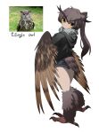  1girl absurdres bangs bird_legs bird_tail black_eyes black_hoodie brown_feathers brown_hair brown_wings colored_sclera commentary feathered_wings feathers gomulgong harpy highres hood hood_down hoodie light_blush long_hair looking_at_viewer looking_back monster_girl neck_ruff original ponytail reference_inset shorts simple_background solo tail tail_feathers talons white_background winged_arms wings yellow_sclera 