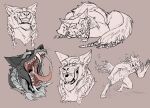  anthro big_fangs blue_eyes bodily_fluids canid canine cheek_tuft chest_tuft crotch_tuft ears_back facial_tuft featureless_crotch fur green_body grey_background grey_body grey_ears grey_fur grey_nose grin hi_res imperatorcaesar inner_ear_fluff licking licking_lips licking_own_lips lying male mammal mouth_shot narrowed_eyes navel nude on_front open_mouth partially_colored pawpads pink_tongue pivoted_ears running saliva saliva_string self_lick simple_background sketch_page sleeping smile solo tongue tongue_out tuft were werecanid werecanine werewolf whiskers 