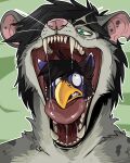  absurd_res anthro avian beak black_body black_eyebrows black_fur black_hair black_inner_ear blue_body blue_fur bodily_fluids bust_portrait cheek_tuft duo eyebrows facial_tuft fangs front_view fur glistening glistening_tongue green_eyes grey_body grey_ears grey_fur hair hi_res imperatorcaesar male mouth_shot narrowed_eyes neck_tuft open_mouth oral_vore pink_inner_ear pink_nose portrait red_tongue saliva saliva_string simple_background species_request tongue tuft vore whiskers yellow_beak 