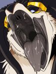 absurd_res ambiguous_gender black_body black_fur bodily_fluids cheek_tuft empty_eyes facial_tuft front_view fur glistening glistening_eyes glistening_tongue grey_tongue hi_res imperatorcaesar mouth_shot open_mouth saliva saliva_on_tongue saliva_string solo tongue tuft white_body white_fur 