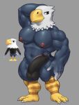  accipitrid accipitriform animal_crossing anthro apollo_(animal_crossing) avian bald_eagle big_pecs big_penis bird blue_body blush clothed clothing eagle genitals grey_background hand_behind_head hi_res humanoid_genitalia humanoid_penis hunnipanda looking_at_viewer male muscular muscular_male navel nintendo partially_clothed pecs penis sea_eagle simple_background solo thick_thighs topless underwear useless_clothing video_games 