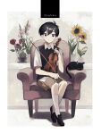  1boy :&lt; =_= armchair bangs black_cat black_eyes black_footwear black_hair black_vest bow_(music) bright_pupils brown_shorts cactus cat chair closed_mouth collared_shirt dated english_commentary flower full_body gladiolus highres holding holding_instrument instrument k6anxrfvmizw70w kneehighs lily_of_the_valley loafers looking_at_viewer male_focus mewo omori plant potted_plant red_flower red_rose rose shirt shoes short_hair short_sleeves shorts sitting socks solo sunflower sunny_(omori) vase vest violin white_flower white_pupils white_shirt white_socks white_tulip wing_collar 