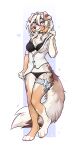  2022 absurd_res alayna_(senip) anthro australian_shepherd blush bra canid canine canis clothing domestic_dog dress_shirt eyes f-r95 female garter_belt_leggings herding_dog hi_res mammal pastoral_dog sheepdog shirt solo tail topwear underwear 