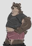  2022 anthro belly black_nose bottomwear bottomwear_down bulge clothed clothing hi_res humanoid_hands kemono koginoro_28 male mammal overweight overweight_male pants pants_down partially_clothed shirt simple_background solo topwear undressing ursid 