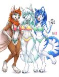  2022 anthro black_nose blue_hair breasts canid canine canis chiropteran clothed clothing eyebrows eyelashes female green_eyes group hair hi_res kacey mammal midriff navel open_mouth smile teeth tongue traditional_media_(artwork) trio wolf 
