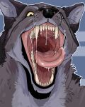  absurd_res anthro black_body black_ears black_fur black_nose bodily_fluids cheek_tuft dripping facial_tuft fangs front_view fur glistening glistening_nose glistening_tongue grey_body grey_fur grey_inner_ear_fluff hi_res imperatorcaesar inner_ear_fluff male mammal mouth_shot neck_tuft open_mouth pink_tongue saliva saliva_drip saliva_string solo tongue tongue_out tuft whiskers wide_eyed 