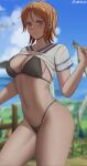  1girl absurdres black_bra black_panties blue_sky blurry blurry_background blush bra breasts brown_eyes cleavage closed_mouth clothes_lift collarbone fence field highleg highleg_panties highres holding holding_money large_breasts looking_at_viewer money nami_(one_piece) navel o-ring o-ring_bottom o-ring_panties ocean one_piece orange_hair oroborus outdoors panties shirt shirt_lift short_hair short_sleeves sky smile solo underwear v-neck white_shirt wooden_fence 