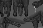  anatomically_correct anatomically_correct_genitalia anatomically_correct_penis animal_genitalia animal_penis balls belly belly_slapping between_legs black_and_white black_penis bodily_fluids close-up equid equine equine_penis erection feral flared_penis front_view genital_fluids genitals horse male mammal medial_ring monochrome penis penis_close-up penis_focus penis_shot precum rear_view scarlanya side_view solo vein veiny_penis 