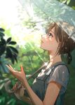  1girl absurdres bangs blurry blurry_background blush brown_eyes brown_hair hand_up highres holding holding_umbrella lips looking_up macaronk original outdoors overalls parted_lips ponytail shirt short_hair short_sleeves solo standing sunlight transparent transparent_umbrella tree umbrella white_shirt 