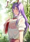  1girl :/ absurdres animal_ears bra breasts bush forest highres long_hair looking_at_viewer nagomian nature necktie outdoors purple_hair rabbit_ears red_necktie reisen_udongein_inaba see-through solo touhou tree underwear wet wet_clothes 