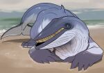  absurd_res ambiguous_gender beach blue_eyes cetacean dorsal_fin fin glistening glistening_eyes grey_body grey_tail hi_res imperatorcaesar lying mammal marine on_front open_mouth seaside solo white_body white_tail 